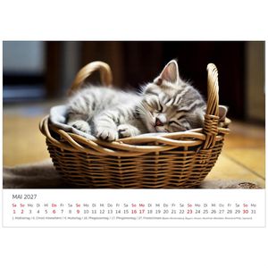 Produktbild für Bildkalender Edition-Seidel 31069, Süße Katzen, Jahr 2027