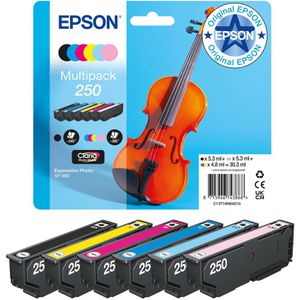 Produktbild für Tinte Epson 250 C13T16N840 Violine, Multipack