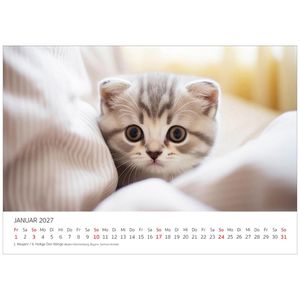 Produktbild für Bildkalender Edition-Seidel 31069, Süße Katzen, Jahr 2027