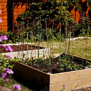 Produktbild für Rankgitter Relaxdays 10042617, grün