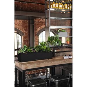 Produktbild für Blumenkasten Lechuza BALCONERA Stone 80, graphit