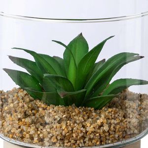 Produktbild für Kunstpflanze Creativ-green Sukkulenten-Mix