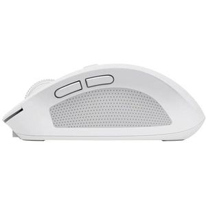 Produktbild für Maus Trust Ozaa 24933