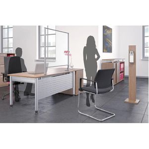 Produktbild für Desinfektionsspender Geramöbel S-HSM-L, lichtgrau