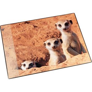 Schreibunterlage Läufer 46596, mehrfarbig
