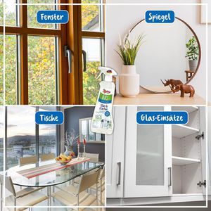 Produktbild für Glasreiniger Poliboy Bio, gebrauchsfertig