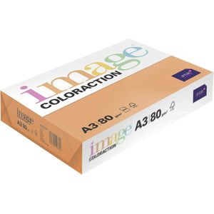 Produktbild für Kopierpapier Antalis Image Coloraction Amsterdam