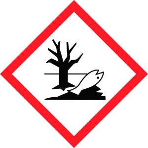Produktbild für Steinreiniger Reinex Algen-Frei &amp; Steinreiniger