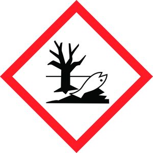 Produktbild für Grünbelagentferner Robbyrob 4750000000