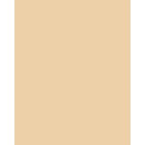 Produktbild für Tonpapier Folia 6118/21/10, A2