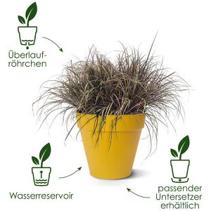 Produktbild für Pflanztopf elho Loft Urban rund, 5,5 Liter