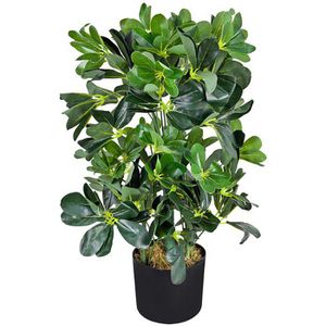 Produktbild für Kunstpflanze Decovego Schefflera Arboricola