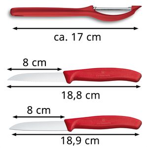  Victorinox Swiss Army 6.7111.6G Swiss Classic Knife