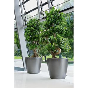 Produktbild für Übertopf Lechuza CLASSICO 60, anthrazit metallic, Ø 60 x 56 cm