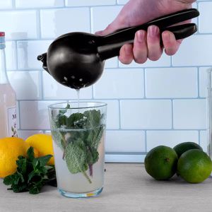 Produktbild für Zitronenpresse Lurch manuell