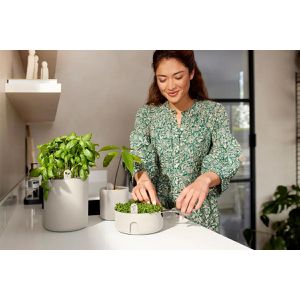 Produktbild für Anzuchtkasten elho Magic Microgreens, 17 x 7 cm