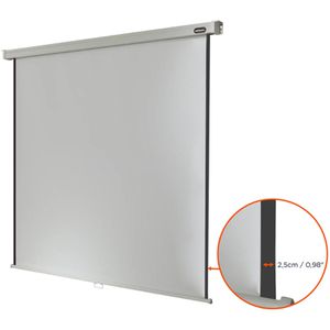 Produktbild für Beamer-Leinwand Celexon Rollo Professional