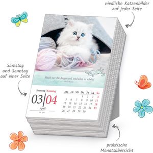 Produktbild für Abreißkalender Trötsch 2027912, Katzen, Jahr 2027