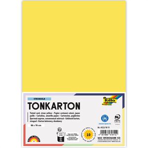 Fotokarton Folia 6122/10 12, 50 x 70 cm