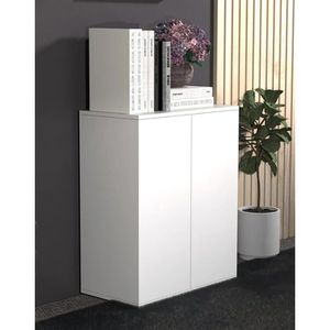 Produktbild für Aktenschrank VCM Dalosa 2-Fach 918319, aus Holz