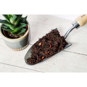Produktbild für Blumenerde Westland Kakteen &amp; Sukkulenten Erde