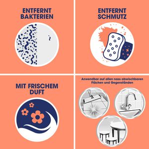 Produktbild für Allzweckreiniger Sagrotan Blütenfrische