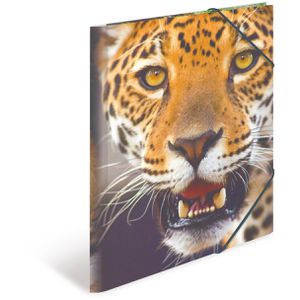Produktbild für Zeichenmappe Herma 7137, Leoparden, A4