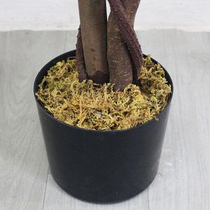Produktbild für Kunstpflanze Decovego Ficus Benjamin