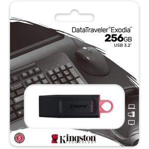 Produktbild für USB-Stick Kingston DataTraveler Exodia DTX 256GB