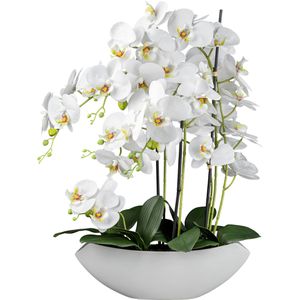 Produktbild für Kunstblume Creativ-green Orchidee, Phalaenopsis