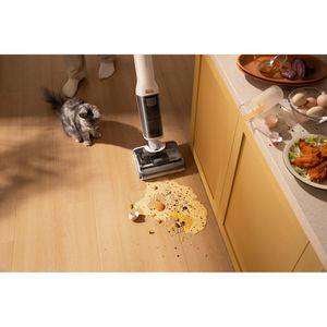 Produktbild für Saugwischer Roborock F25 RT