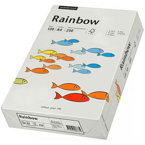 Produktbild für Kopierpapier Papyrus Rainbow 88042810