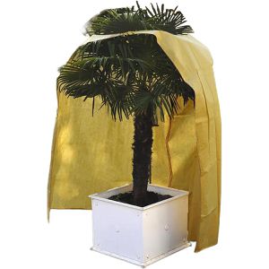 Produktbild für Wintervlies NOOR 0111PROXXXL, beige, 2 x 3 m