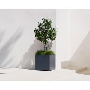 Produktbild für Pflanzkasten Herstera Cube S anthrazit