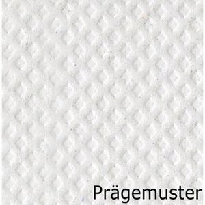 Produktbild für Papierhandtücher Satino HiCycle 278520, PT3, 2-lagig