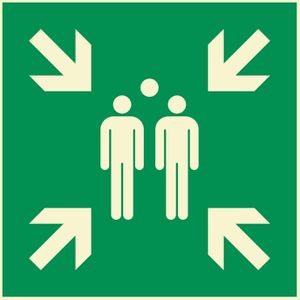 Hinweisschild Abtec ISO 7010 E007, Kunststoff