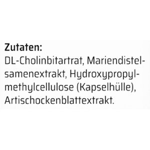 Produktbild für Bitterstoffe Sanhelios Complex Silymarine, 60 Kapseln