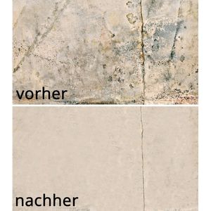 Produktbild für Schimmelentferner Renuwell 73062
