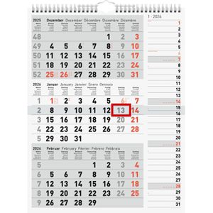 3-Monatskalender Rido-Ide 7033330006, Kombi, Jahr 2026