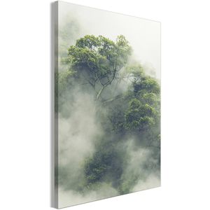 Wandbild Artgeist Nebliger Amazonas, 60 x 90 cm