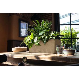 Produktbild für Blumenkasten Lechuza BALCONERA Stone 50, sandbeige