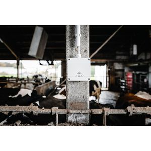 Produktbild für Abzweigdose Spelsberg Abox Pro 060-L, wasserdicht IP69, außen