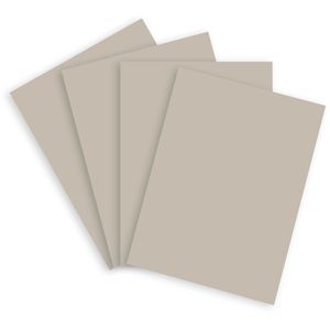 Produktbild für Kopierpapier Papyrus Rainbow 88376531