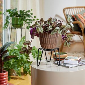 Produktbild für Blumenständer Wagner-System GH 0515, schwarz