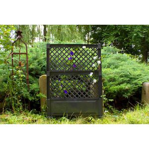 Produktbild für Rankgitter KHW Czardas 47705, anthrazit