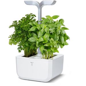 Anzuchtkasten Veritable Exky Smart, 20x18,2x45,6cm