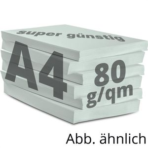 Produktbild für Kopierpapier Papyrus Rainbow 88042695