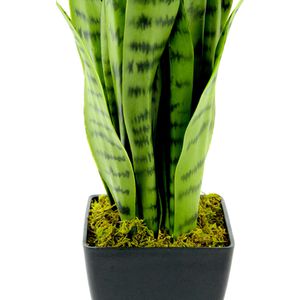 Produktbild für Kunstpflanze I.GE.A. Sansevieria