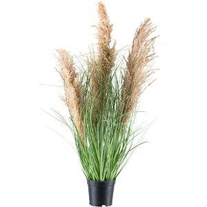 Produktbild für Kunstpflanze Creativ-green Natur-Schilfgras