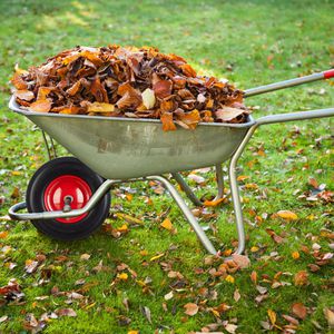 Produktbild für Schubkarrenrad Relaxdays 4.80/4.00-8, luftbereift